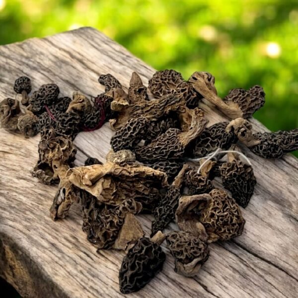 Gucchi mushroom 250g